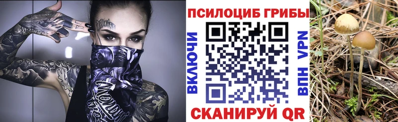 Галлюциногенные грибы Psilocybe как найти наркотики Верхотурье