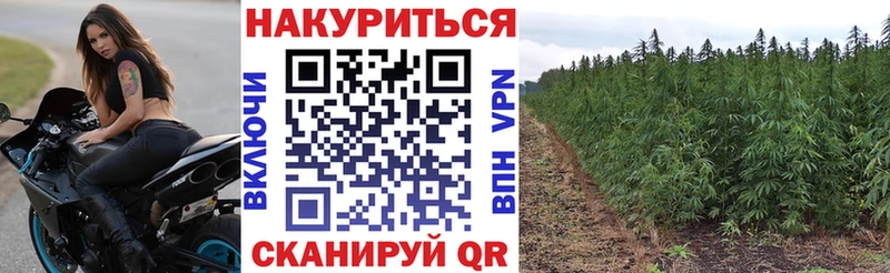 Шишки марихуана марихуана  купить наркоту  Верхотурье 